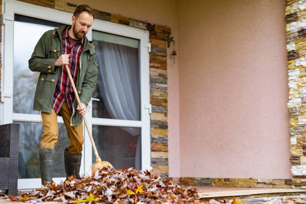 Best Basement Cleanout Services  in Hudson, MI